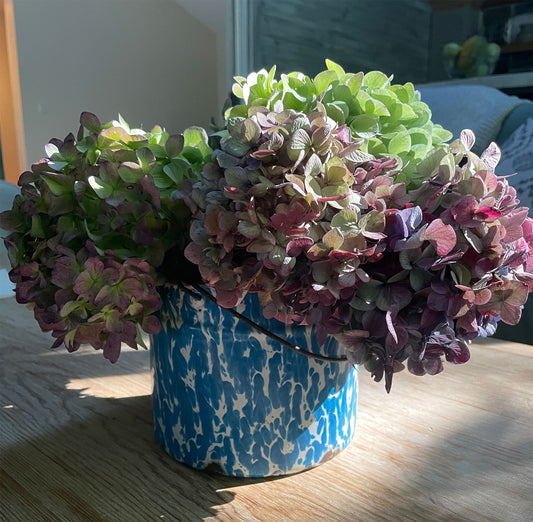 5 Steps to Dry Hydrangeas With the Most VIBRANT Color